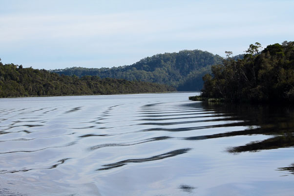 Gordon River Cruise, Strahan 