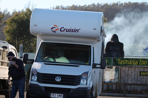 Tasmania Zoo, Launceston