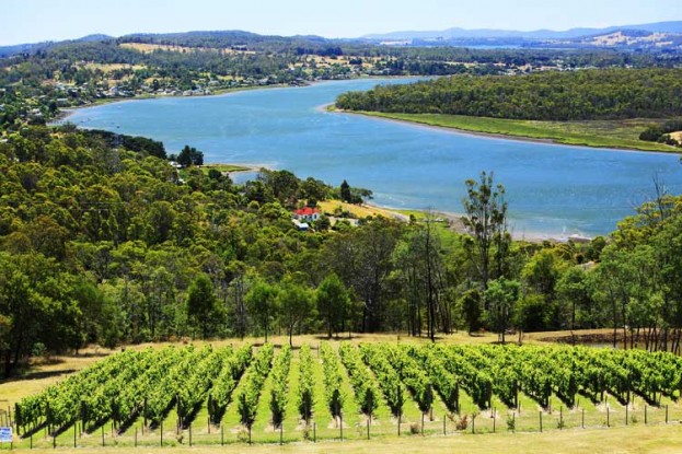 Tamar Valley, Tasmania 