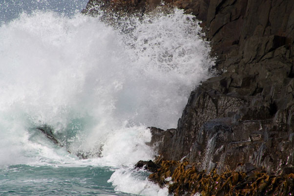 Bruny Island Cruise, Pennicott Wilderness Journeys