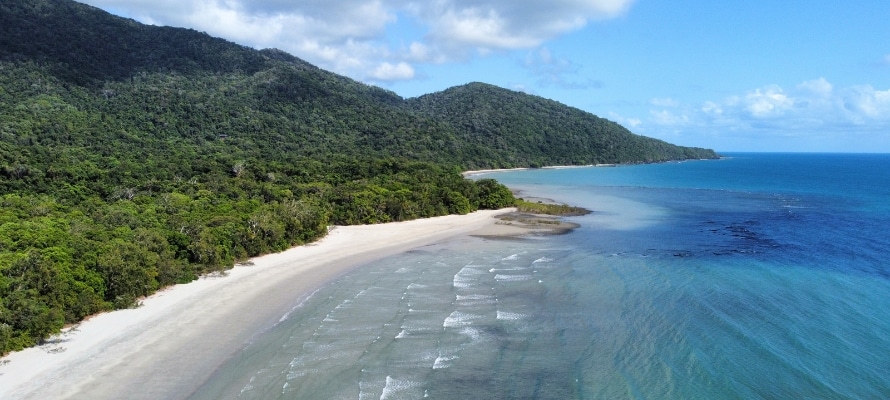 Cape Trib