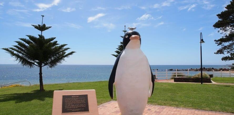 Penguin-Tasmania