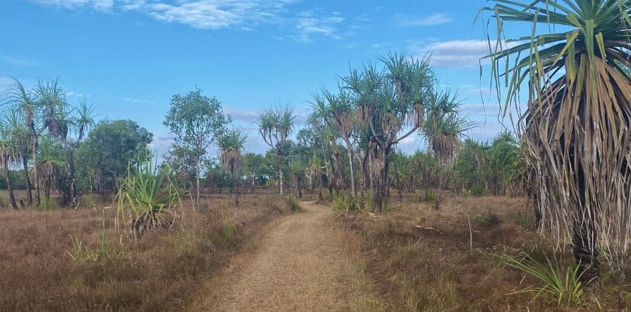 Best Things to See in Kakadu